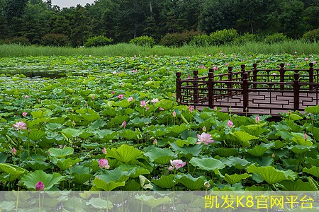 办公室装修报价清单明细表格